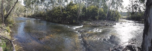 Photograph 5.2 - The Yarrangobilly River at Lobs Hole, upstream of Lobs Hole Ravine Road crossing